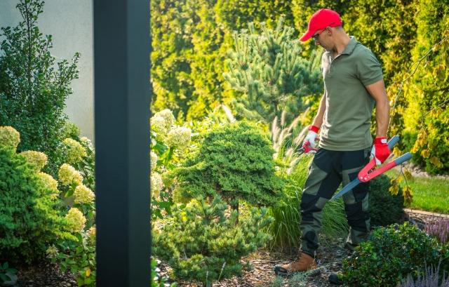 8 Ways Expert Landscapers Manage Drainage for Lasting Outdoor Spaces